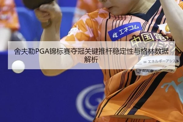she-fu-lei-jin-biao-sai-duo-guan-guan-jian-tui-gan-wen-ding-xing-yu-ge-lin-shu-ju-jie-xi-2-408.jpg