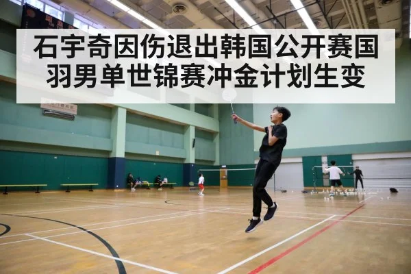 badminton tournament court